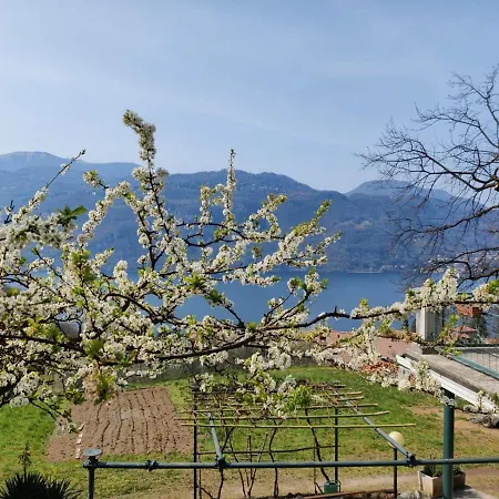 La Casetta Nel Bosco - Hot Tube And Sauna Lierna