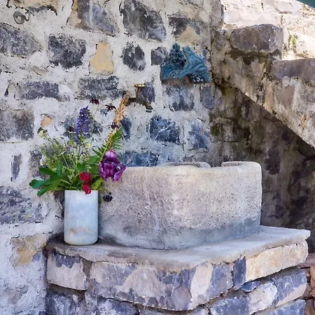 Hébergement de vacances La Casetta Nel Bosco - Hot Tube And Sauna